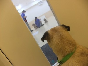 分離不安