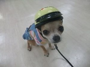 病院に行く前に・・・。