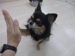 どんなに小さくても１つの命